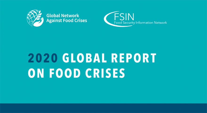 Informe Anual de Crisis Alimentarias 