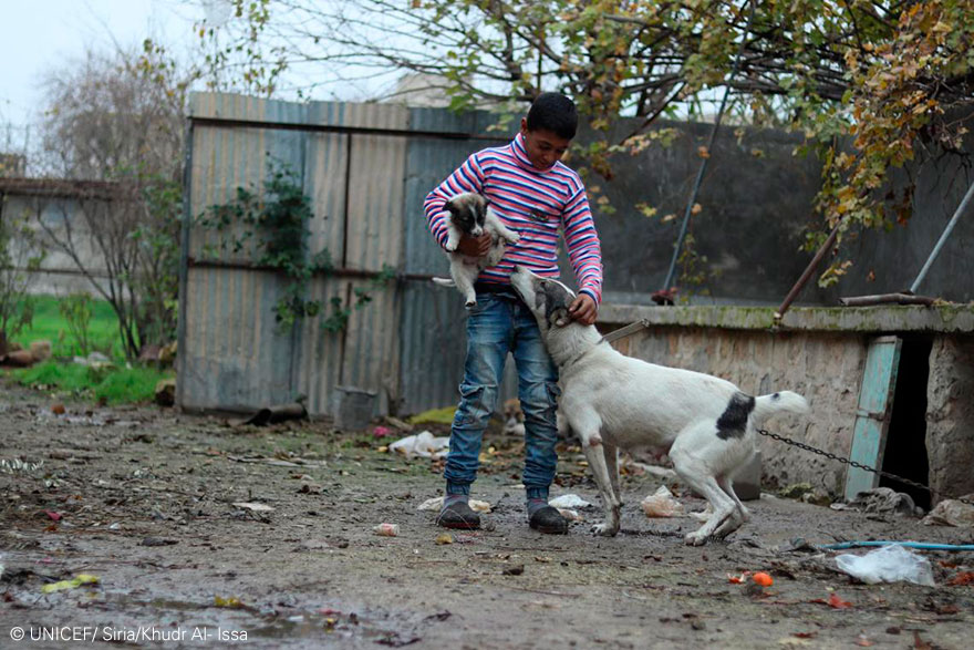 Mohamed y su perro