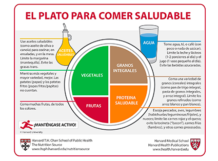 Plato para comer saludable