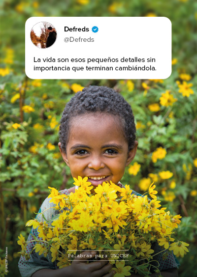 Portada - Defreds