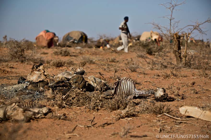 Desnutrición, sequía y enfermedades amenazan la vida de millones de niños en el noreste de Nigeria, Somalia, Sudán del Sur y Yemen
