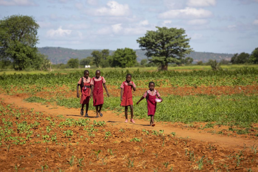Zimbabue. Cambio climático.