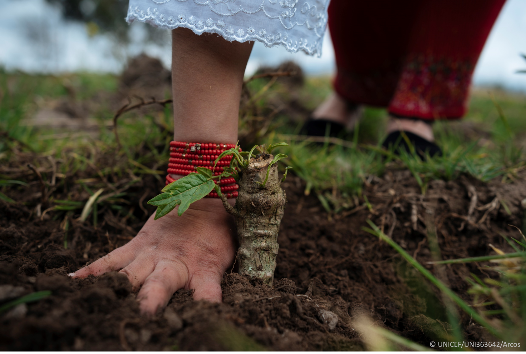 Cultivar la Agenda 2030 desde el huerto escolar