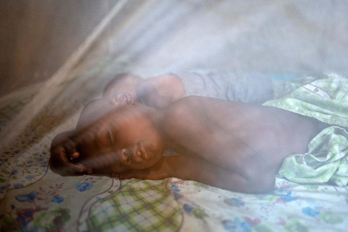 275 millones de mosquiteras contra la malaria.