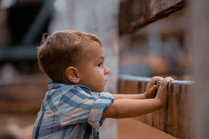 Un niño mirando a través de una valla.