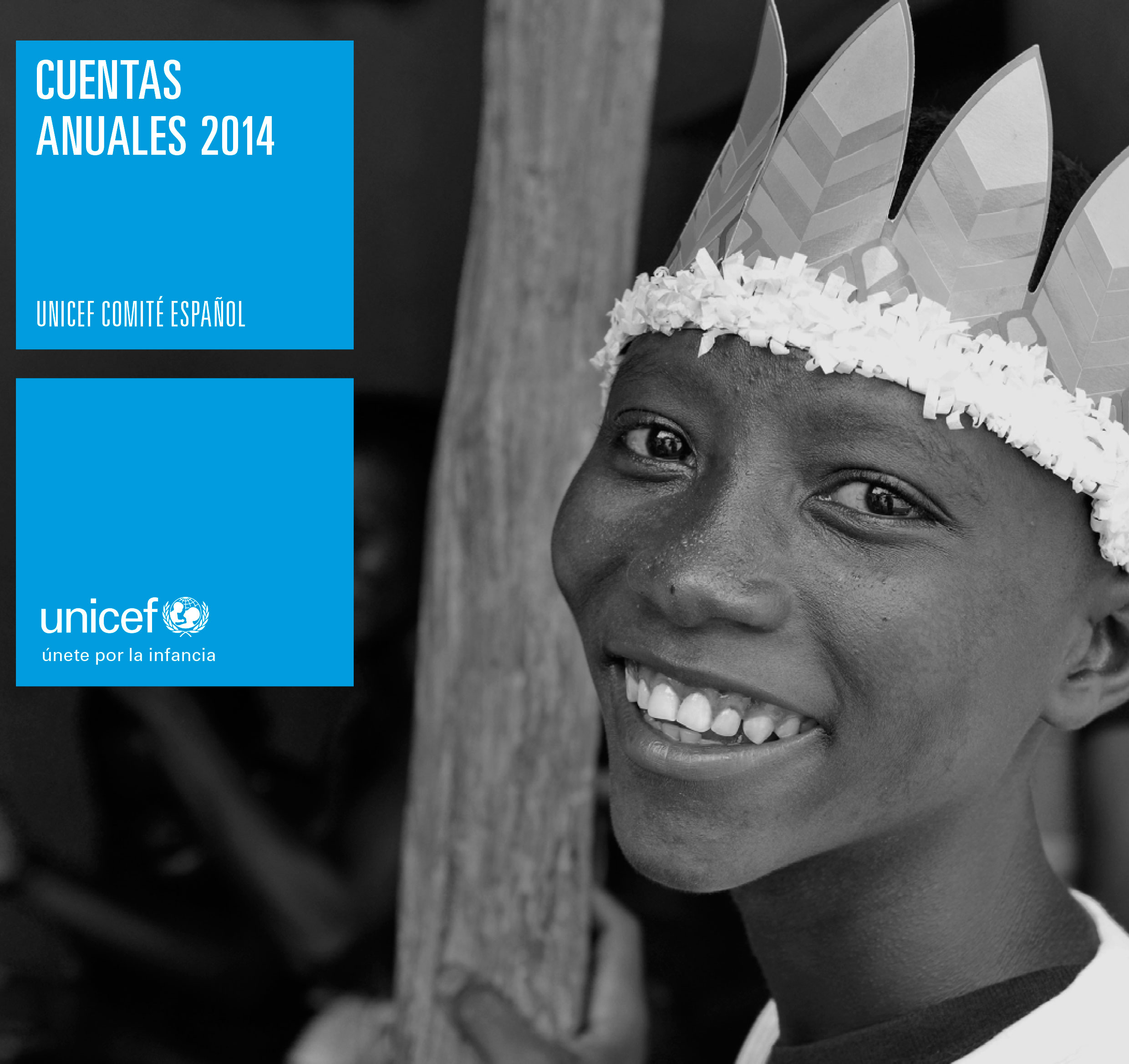 Cuentas Anuales 2014