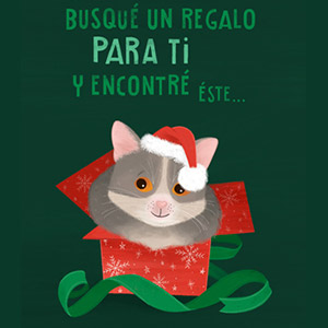 Busqué un regalo para ti Busqué un regalo para ti