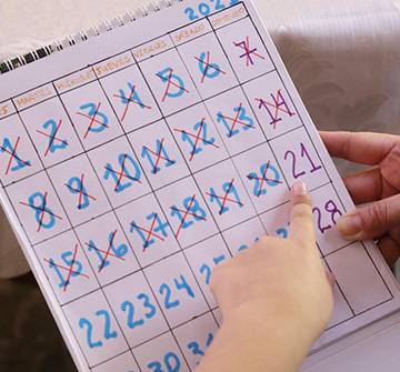 Días mundiales para el calendario escolar Unas manos sostienen un calendario
