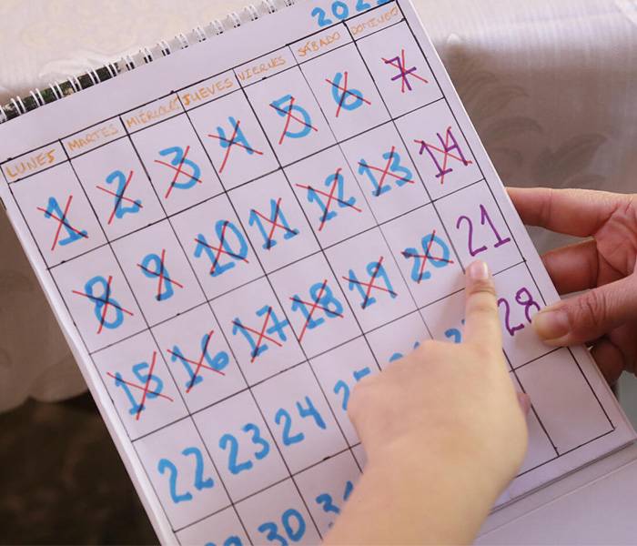 Días mundiales para el calendario escolar Unas manos sostienen un calendario